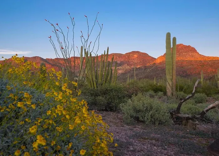 Holiday home Tuscan Sun Scottsdale